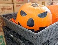 1-10-23パンプキン2