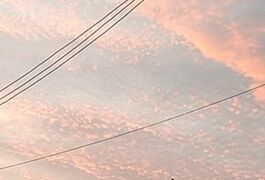 6-11-14ゆうやけ２