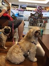 1-12-26ショッピングモール