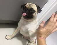 3-3-27ハイタッチ