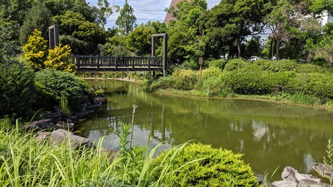 IMG_20190707_143738