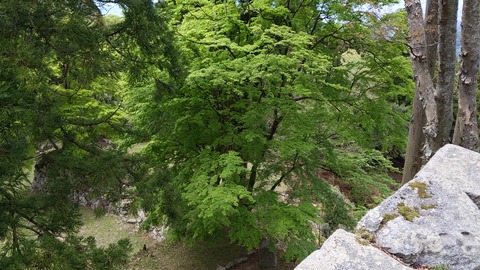 IMG_20200504_131327