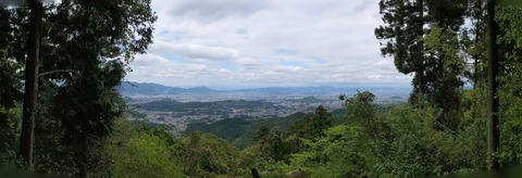 PANO_20200504_124929.vr