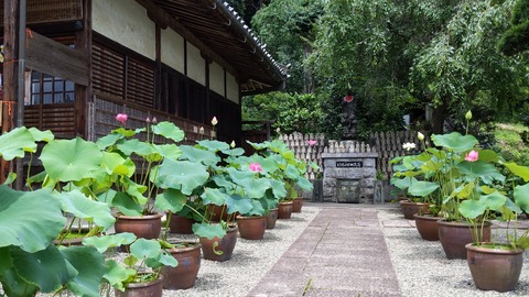 IMG_20200712_110130
