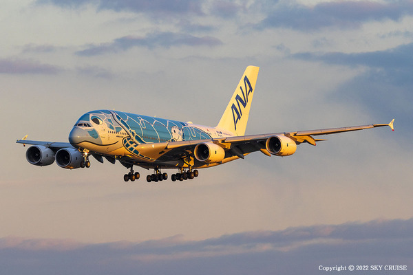 2022-02-23_ANA_A380_JA381A-6
