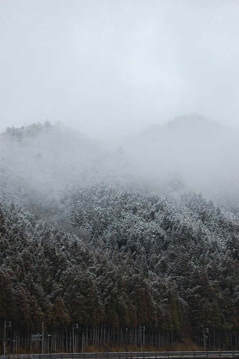 DSC_0010 (3)