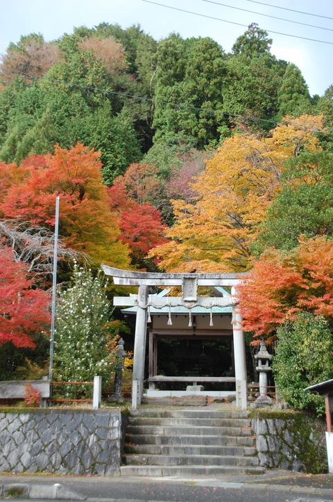 DSC_0002 (1)