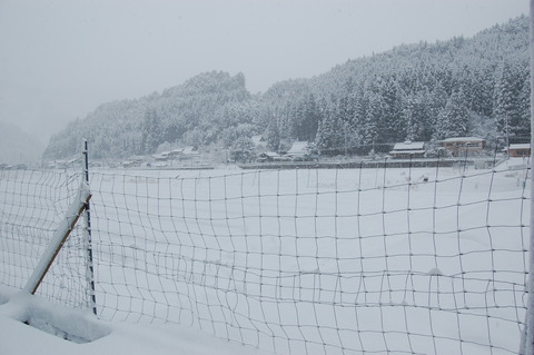 雪 008