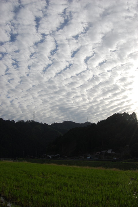 DSC_0007 (1)
