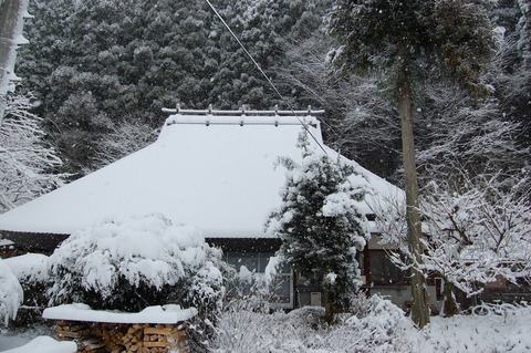 雪 006