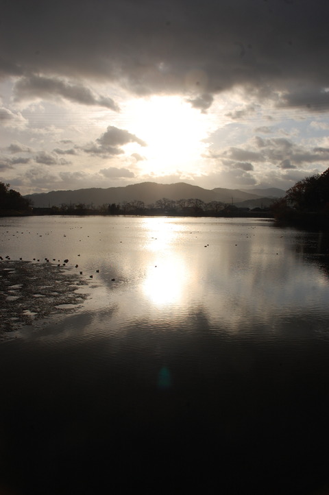 DSC_0121 (1)