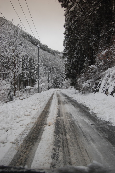DSC_0011 (2)