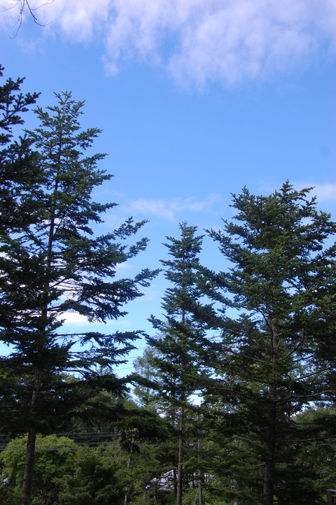 DSC_0001 (4)