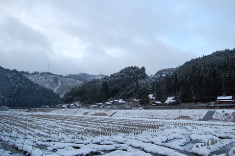 クリスマス寒波 004