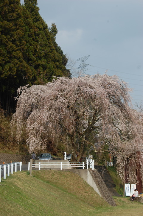 DSC_0005 - コピー