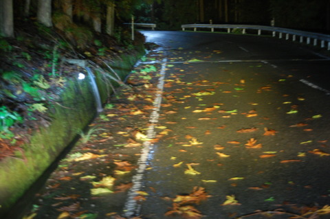 DSC_0039 (1)