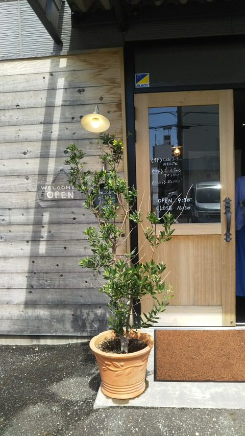 静岡には珍しい子供が思い切り遊べるカフェ 静岡市mon Chou Chou モンシュシュ 食いしん坊ぱん子のまんぷく日和