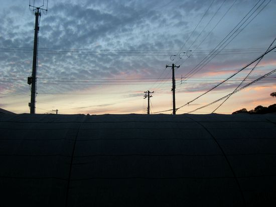 431a56c3.jpg