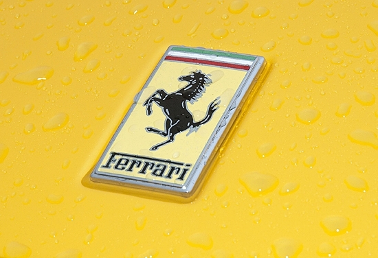 44fd85d8.jpg