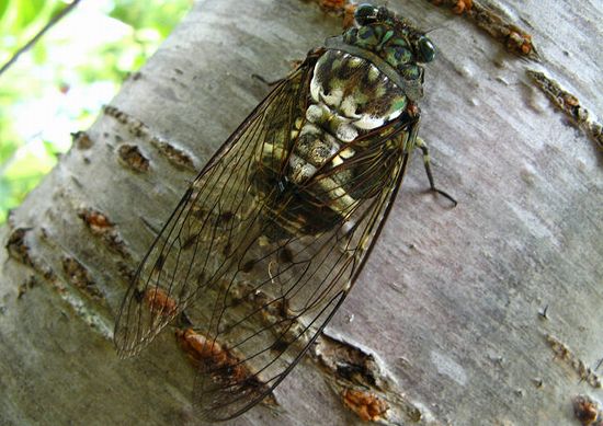 6d1e60a5.jpg