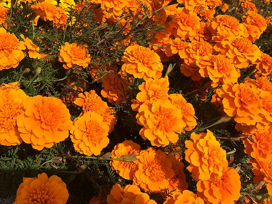 75f06ba8.jpg
