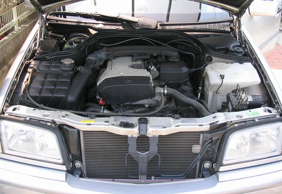 812f286e.jpg