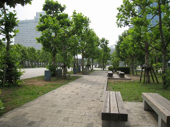 fb1657d8.jpg