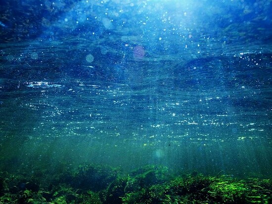 e8d856e01863e3ab9af34e9ee1fe9864