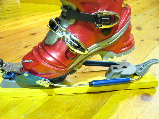 いいとこ取り : WILL COME MOOSE？ TOP PAGE