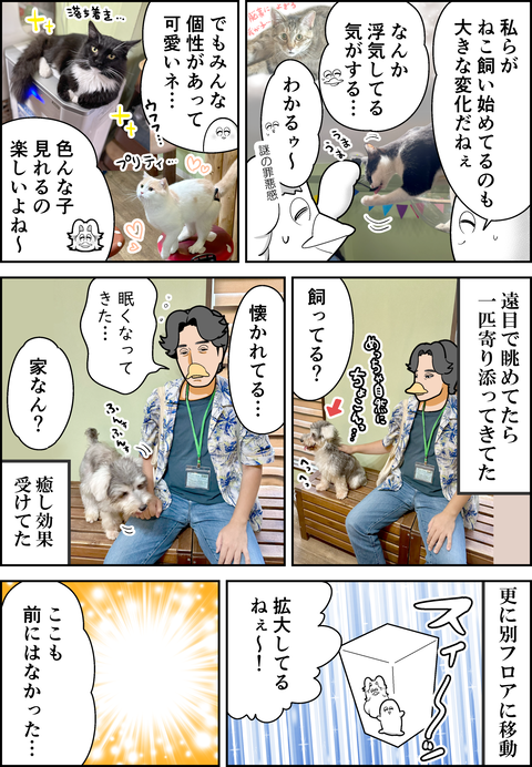 アニミル6周年レポ④