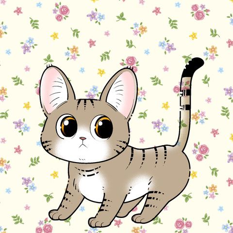 ちゃまむ