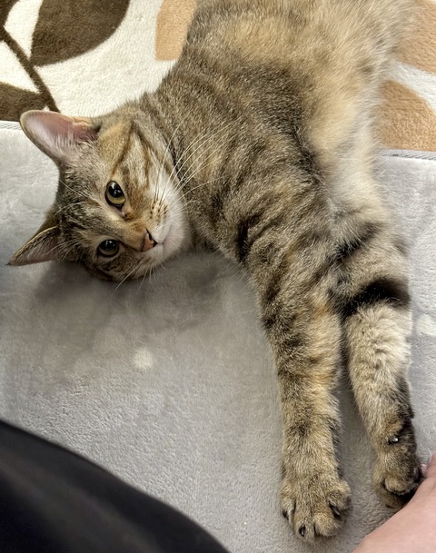 FullSizeRender
