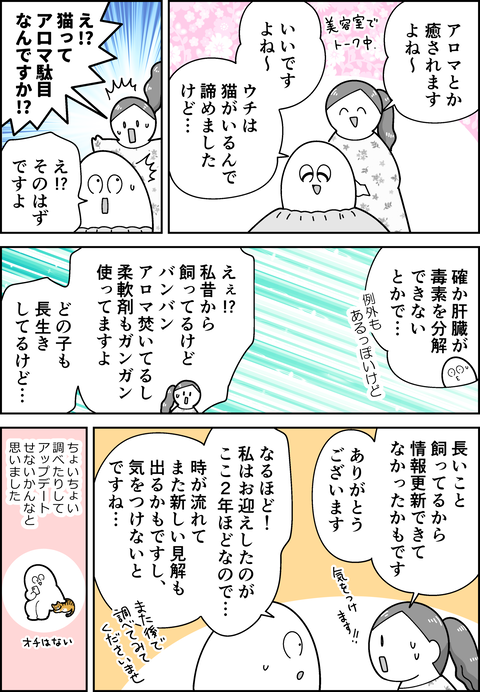 猫とアロマ