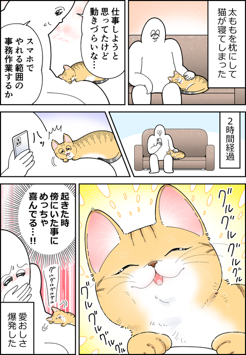 愛おしい、猫