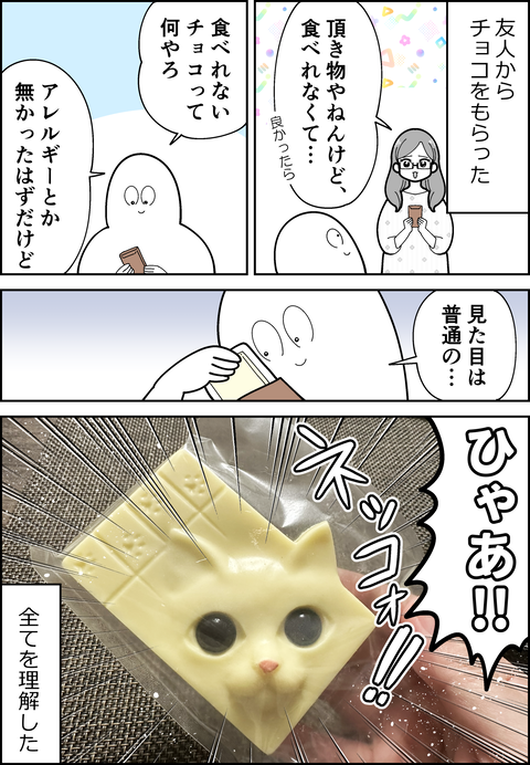 いただきもののチョコレート
