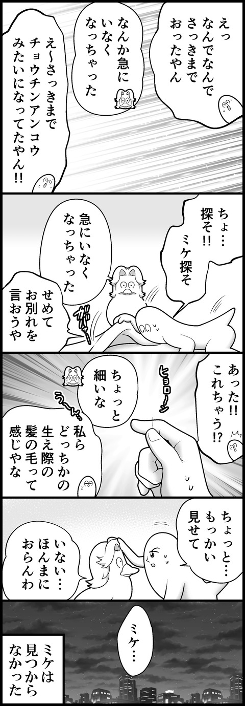 ミケの消失③