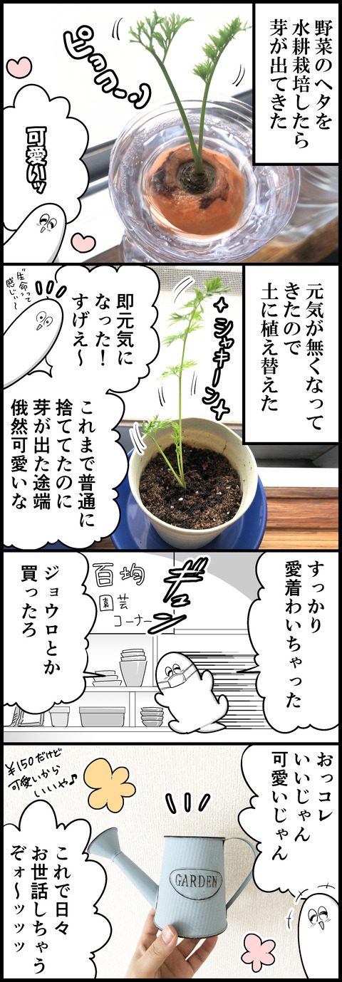 栽培デイズ