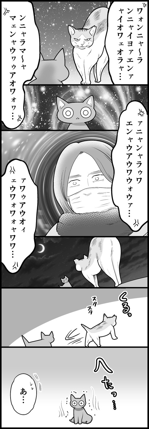 猫、めっちゃしゃべるやん②
