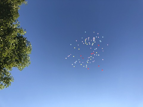 785f57f7-cacf-4611-80cc-3f53e965fb44