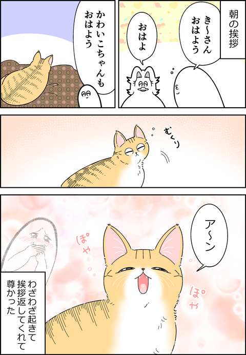 愛猫のおはよう