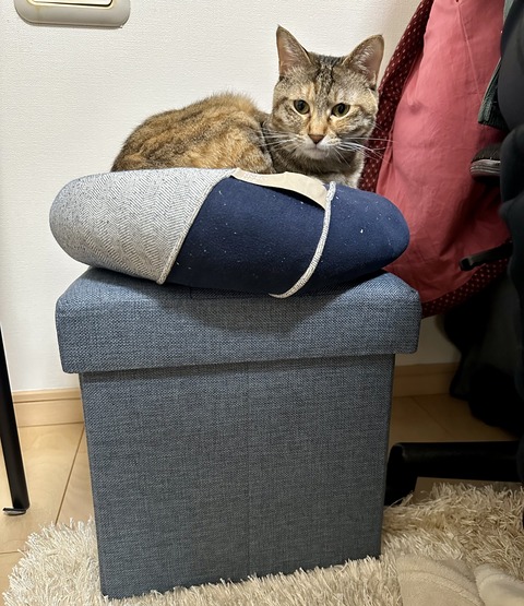 FullSizeRender
