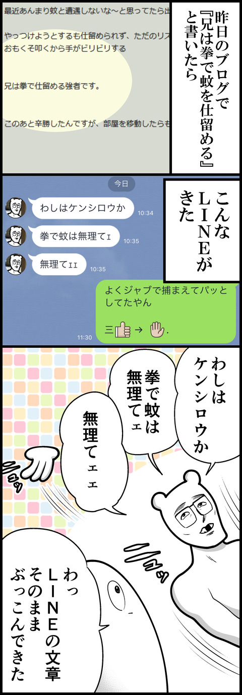 兄流-蚊の倒し方