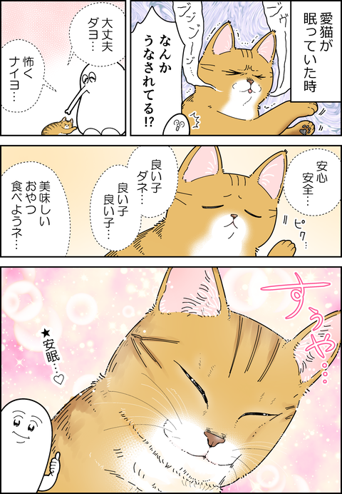 猫の悪夢
