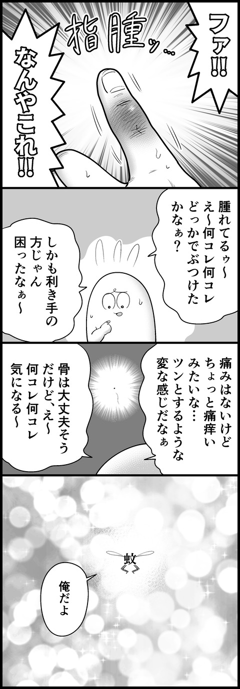 そんな季節でしたね