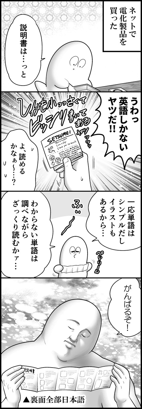 説明書