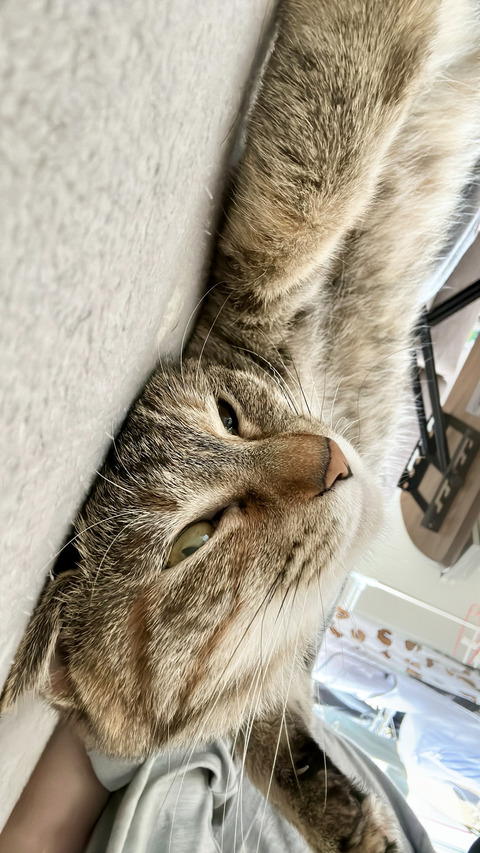 7E9AC6AC-4D41-44CD-B28B-08123A4DBEFF