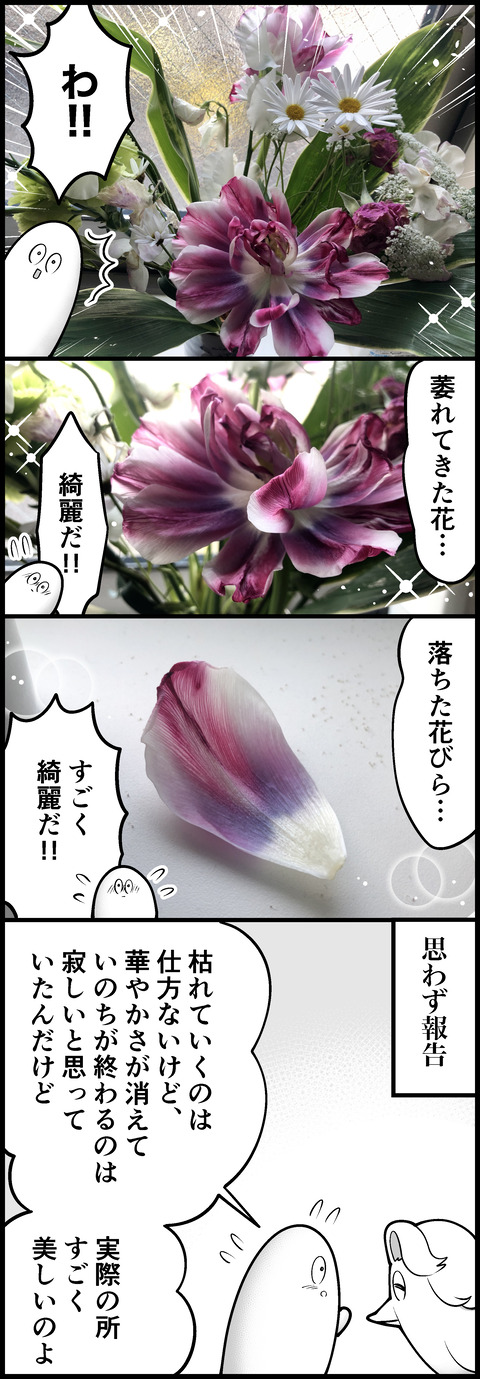 枯れても良い花②