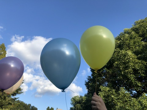 a7efcebc-1696-40d2-beb9-0167b9ef9570