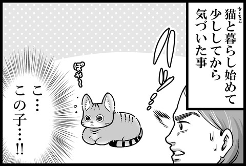 ち～ちゃんの耳毛①