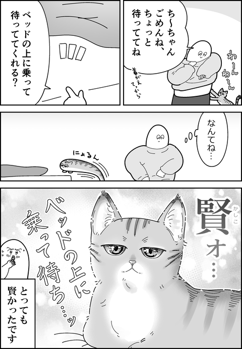 全てを理解している